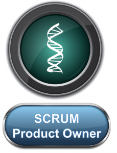 SCRUM Product owner